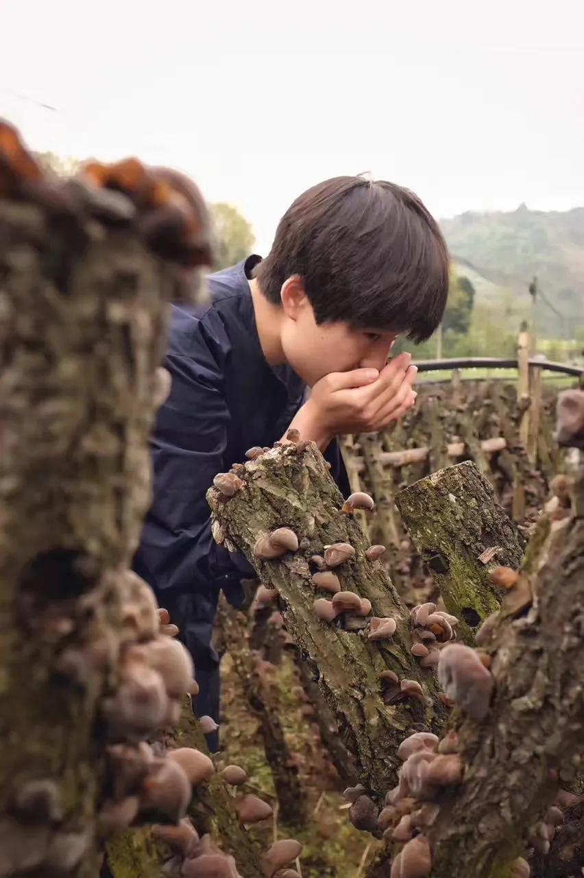 鎴戣闈掑北澶氬Ι濯氶潚灞辩湅鎴戝簲濡傛槸,鎴戣闈掑北澶氬Ι濯氭枡鎯抽潚灞卞簲濡傛槸