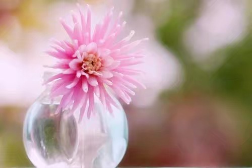 情商高的十大表现你了解几个,情商高的十大表现有哪些方面