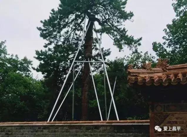 明十三陵康陵历史厚重感,探访明十三陵未开放的陵墓