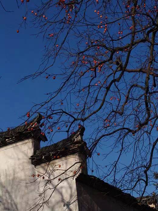 中国古建筑之美英文,中国古代建筑之美穹顶