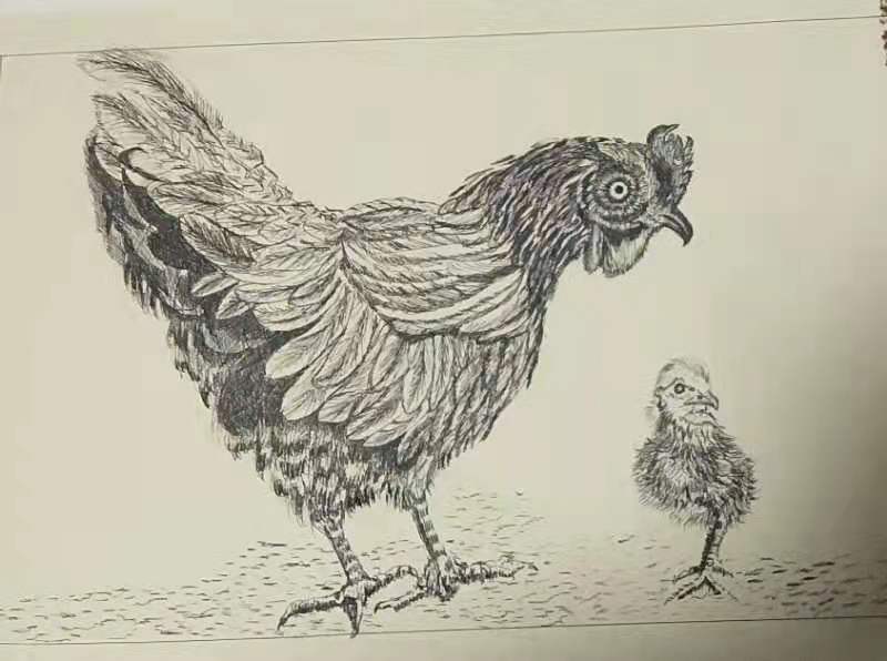 幸福原创画吧,幸福画吧画友作品展示