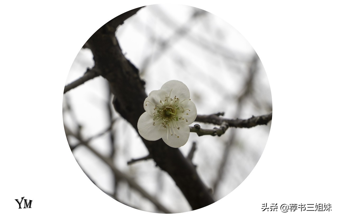 鼓励孩子坚持不懈的励志诗词,40首经典励志读书学习诗词