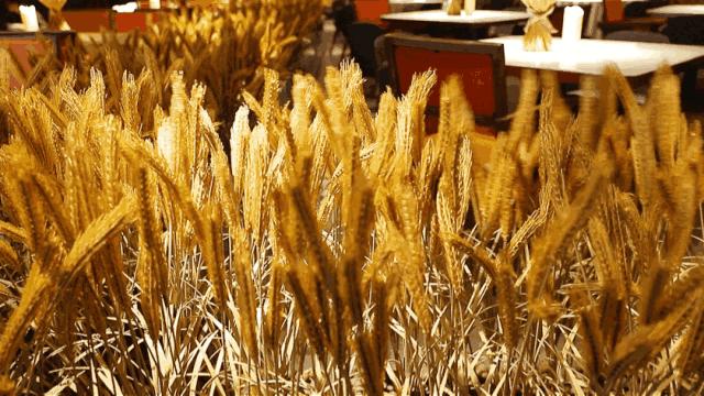 大众点评品类榜首！这家“土到极致”的湘菜馆是如何做到的？