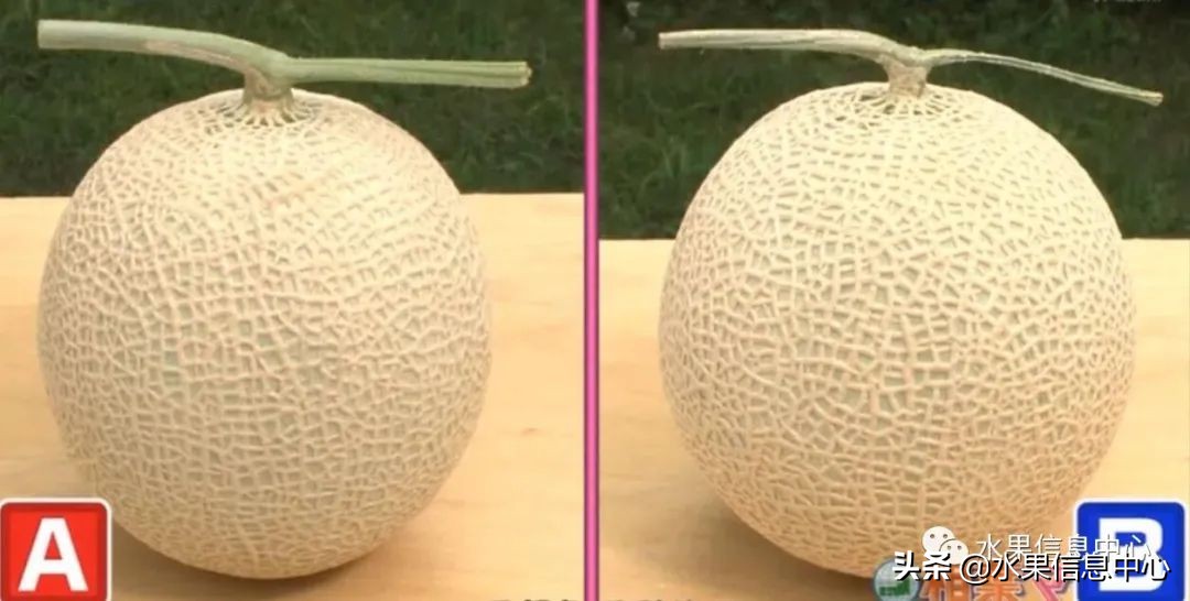 日本水果店怎么挑选,正宗日本水果店