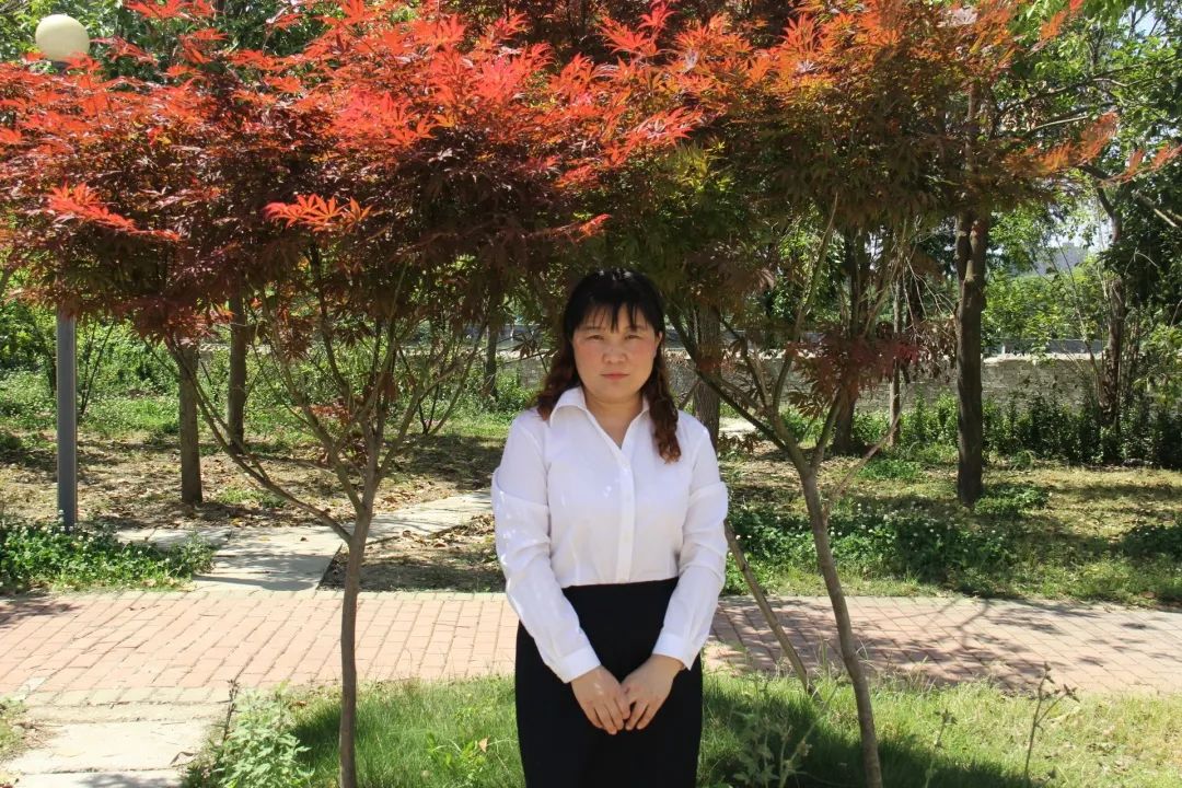 羊山外国语中学2024年招生时间,羊山外国语中学招生热线