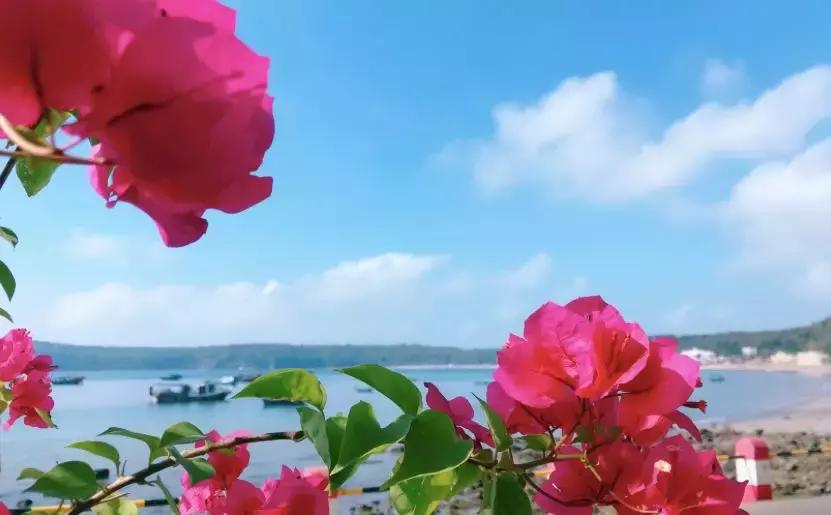 6月涠洲岛自由行,4月中去涠洲岛合适吗