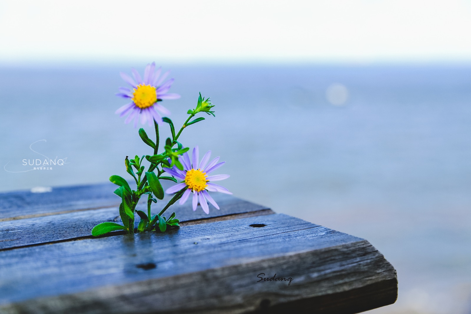 陆地尽头是哪里,海上仙山嵊泗列岛