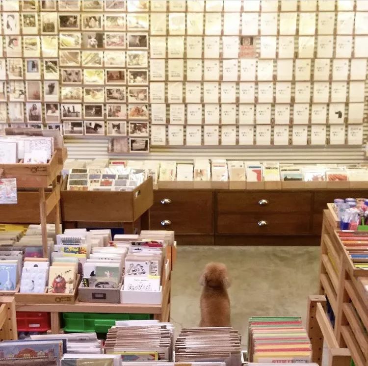 逛一次最贵的文具店,推荐的文具店