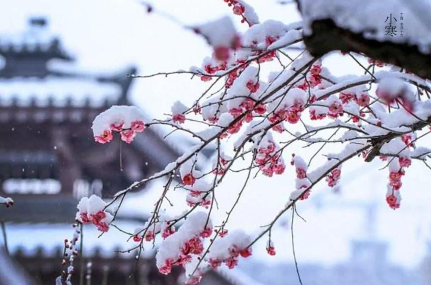 唐诗宋词三百首千古名句,唐诗500首经典名句