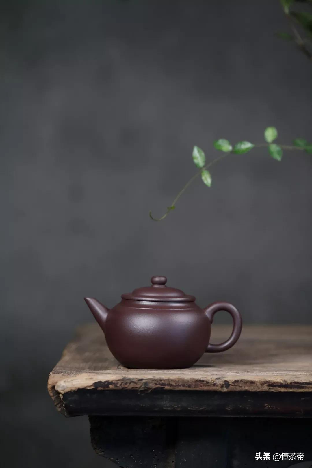 紫砂壶长期没用发霉了怎么办,紫砂壶久了不用怎么办