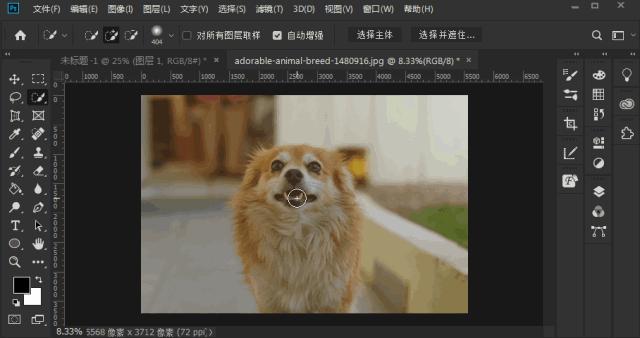 photoshop快捷键大全,photoshop设置快捷键大全