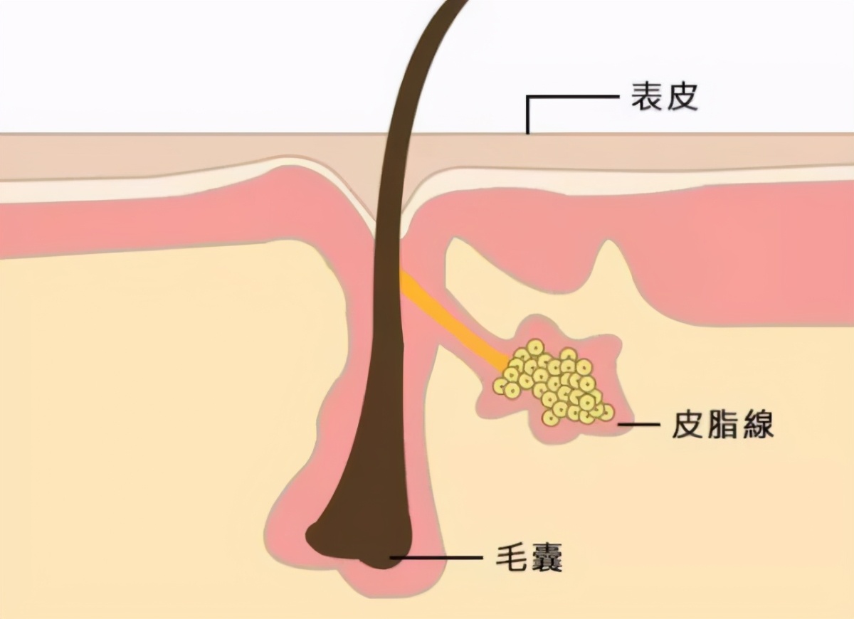 脸上有阳光如何统一肤色,如何解决脸上的光
