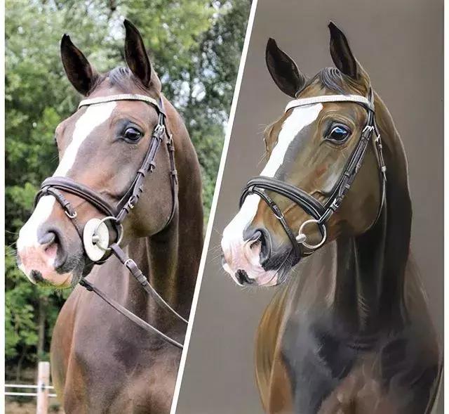 彩铅不会涂色怎么办,彩铅绘画干货