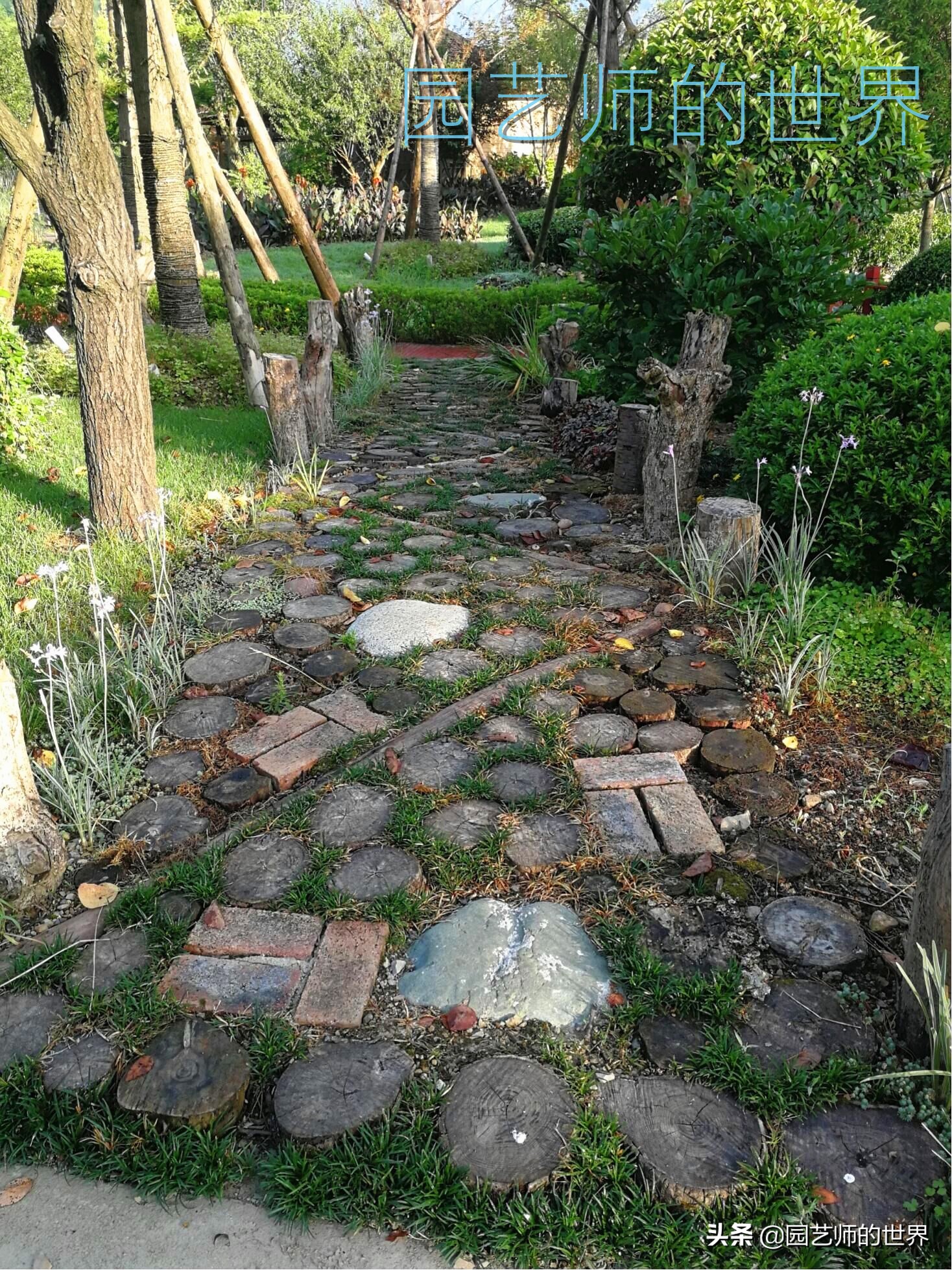 花园科学实验,花园案例及解析