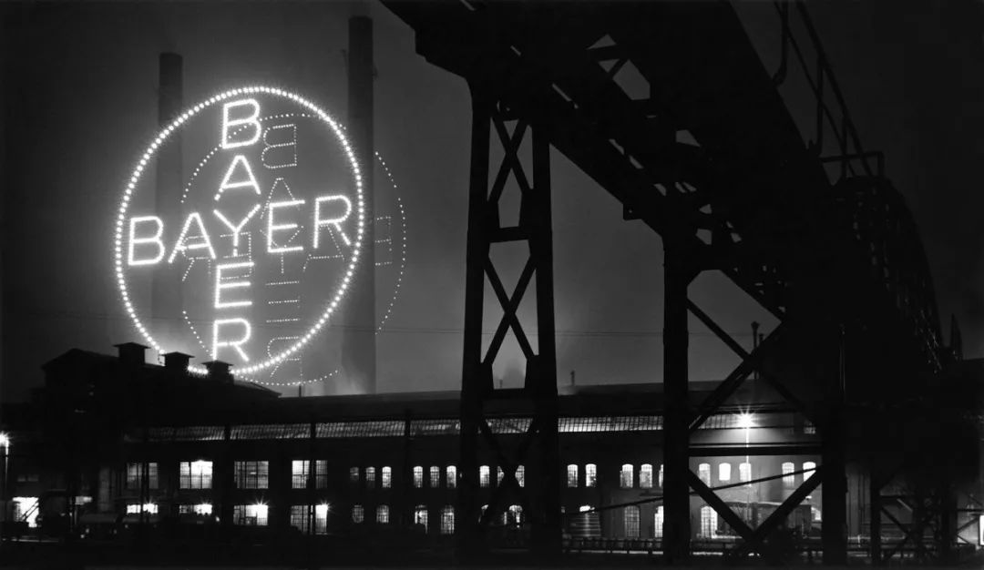 滇虹药业背后的故事,滇虹药业现状