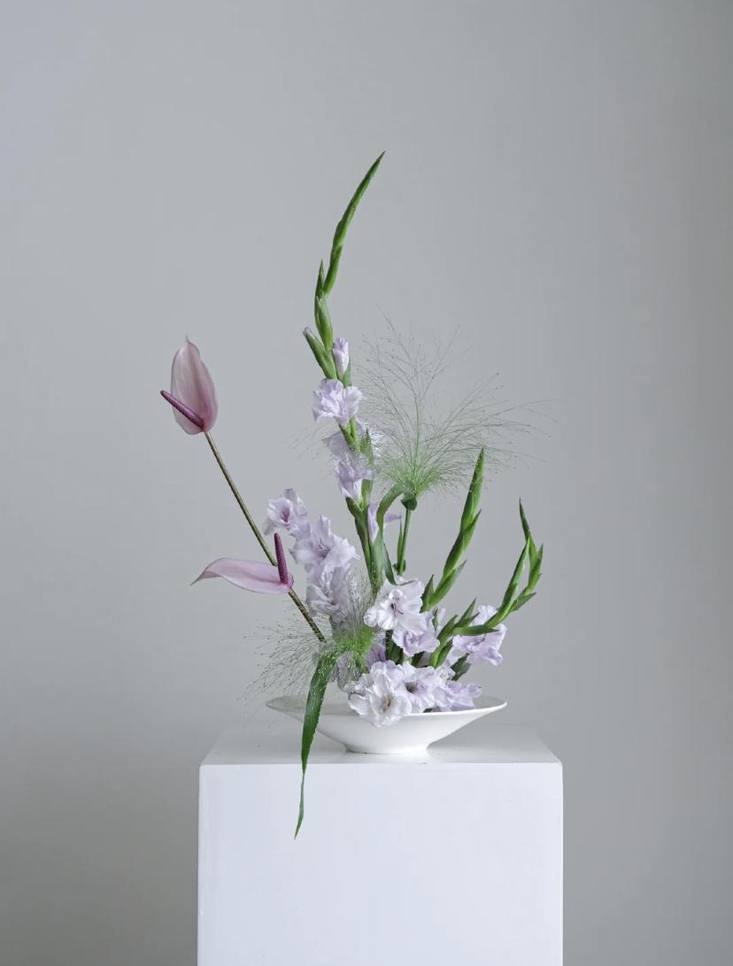 家里要有氛围感什么花比较好,家里高级的花