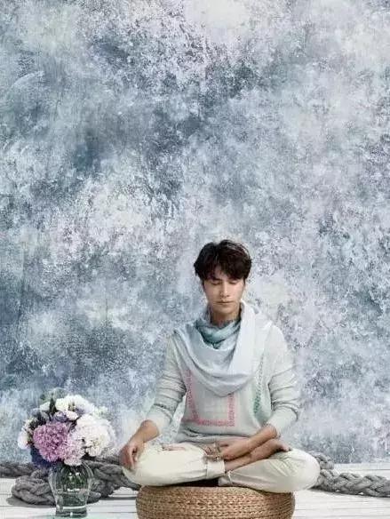 禅意的素食者,禅意的素食家陈坤