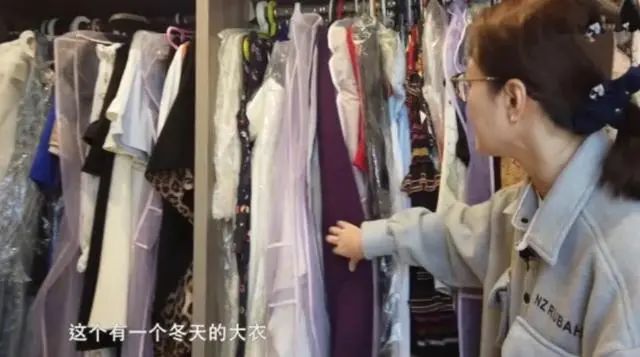 周海媚宠物狗狗,周海媚生前养的4个狗狗被曝光了