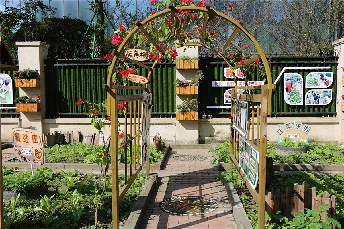 家门口的好幼儿园,家门口的好学校有哪些建议