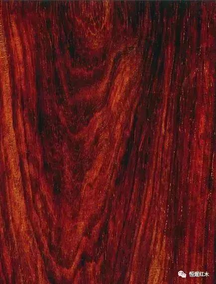 白酸枝和花枝有区别吗,花枝木和白酸枝有什么区别