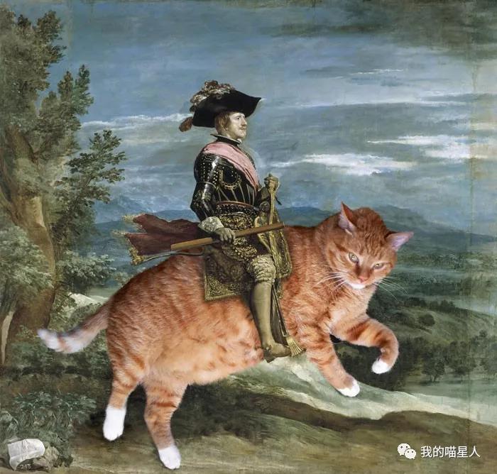 胖橘猫画作,一位画家把自己的猫画成卡通人物