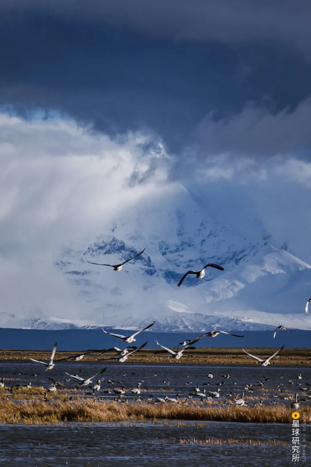 伟大的喜马拉雅山歌曲,喜马拉雅山脉全景图片及山名