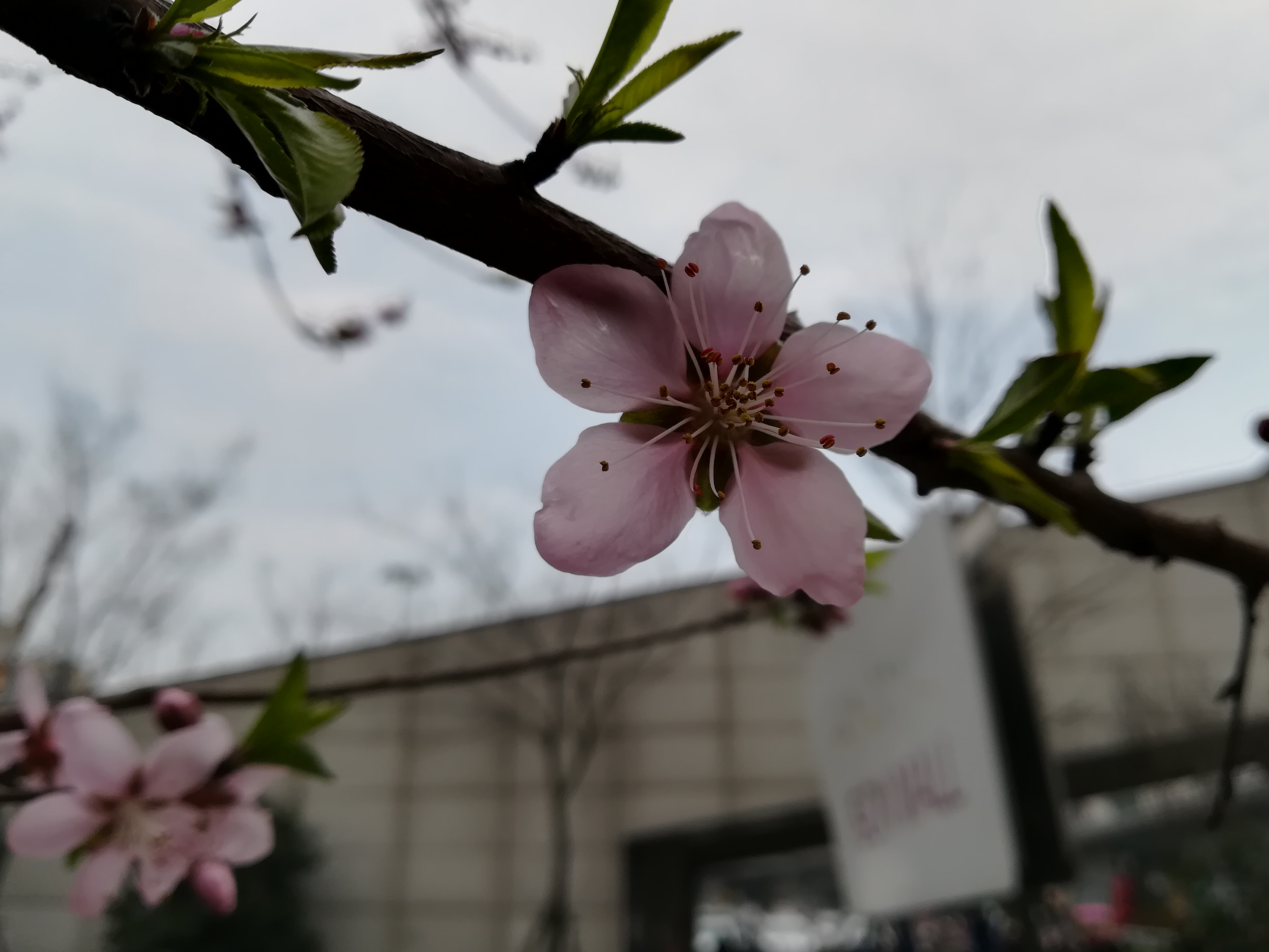 苏州越溪永旺梦乐城,苏州新区永旺梦乐城
