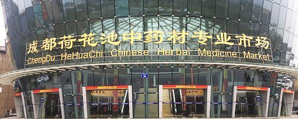 药材市场快讯,中药材野菊花最新行情