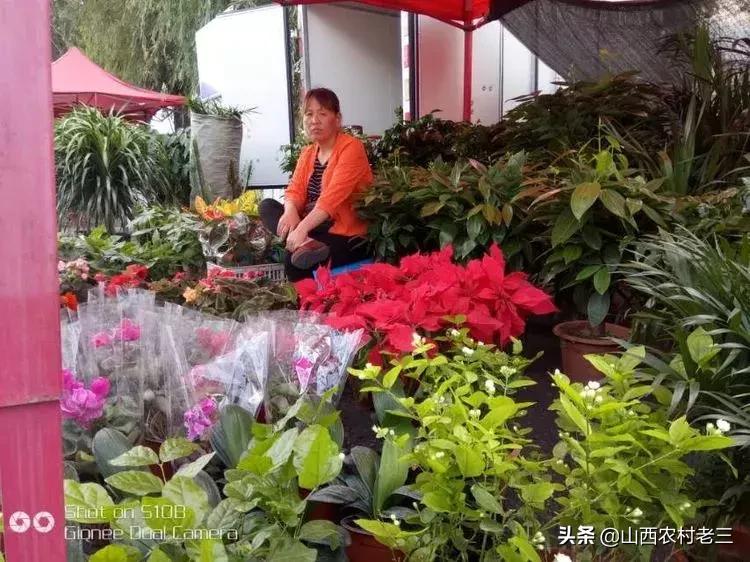 长治老顶山庙会,炎帝庙会图片大全