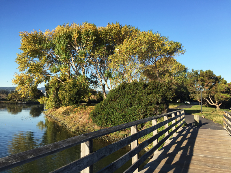 美国旧金山市规划,美国旧金山公园