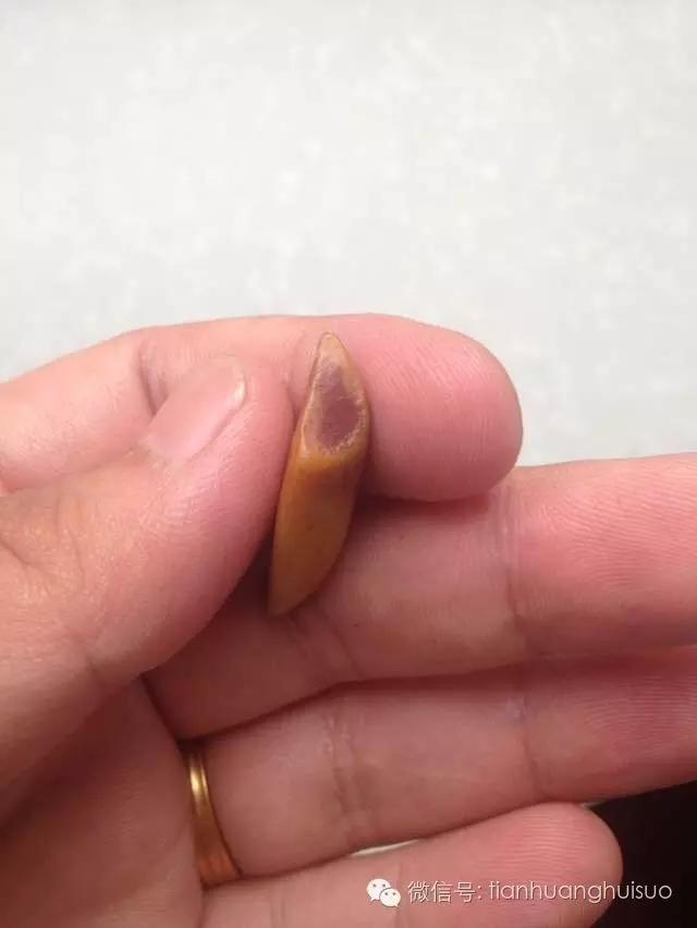 福州哪里有鉴定寿山田黄原石,寿山极品红田黄照片