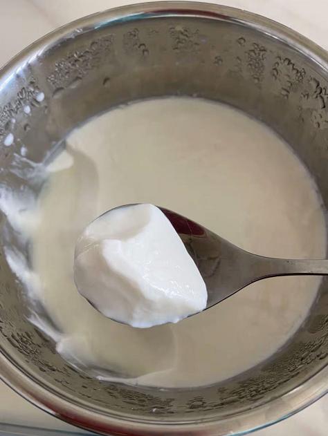 酸奶机有必要买吗,酸奶机的使用说明