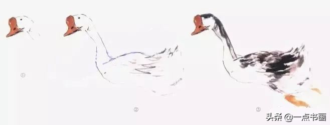 鹅画法可爱简单在陆地上行走,图文教程鹅写意画法