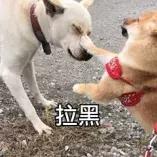 中国驻休斯顿总领馆关闭,中国驻休斯顿总领馆事件评论