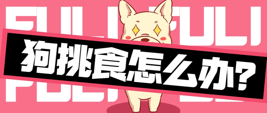 狗狗挑食只需一招,狗狗挑食不吃狗粮饿到极致