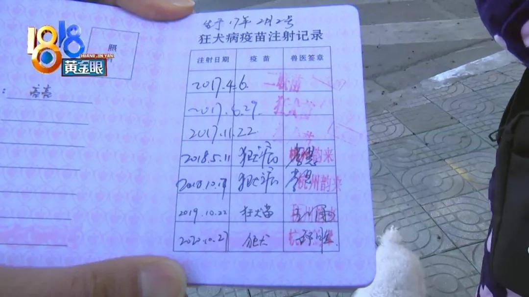 小狗背上一大块斑秃,小狗斑秃起皮屑