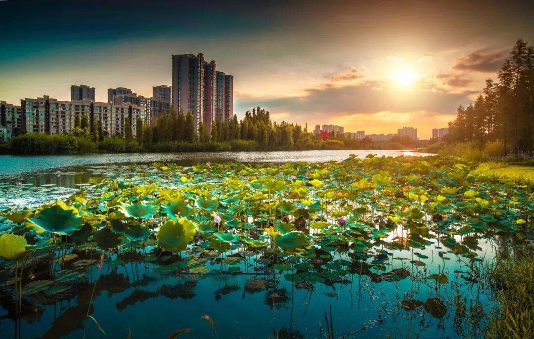 成都新都区军屯镇郭家村,成都新都军屯郭家村