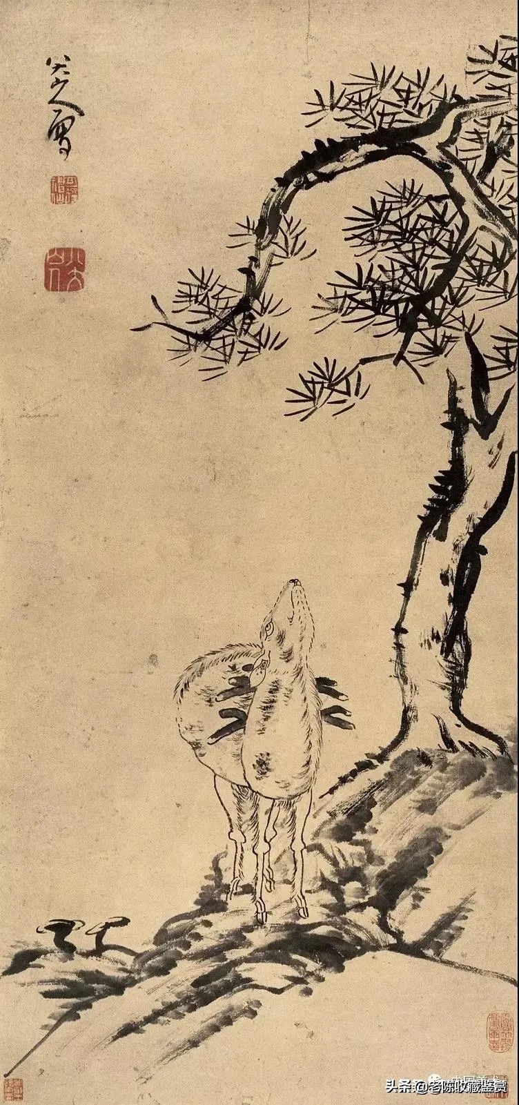 八大山人鹿图,八大山人松鹿图赏析