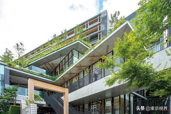 日本东京新地标诞生,日本新地标