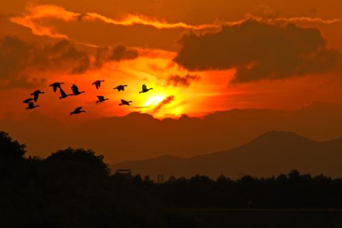 “才子”钱起：阅山阅水，阅人阅己