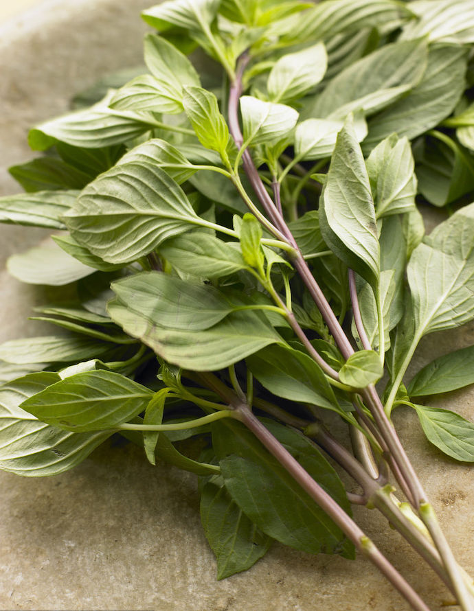 八种身兼多职的鲜花，既是鲜花又是香料！