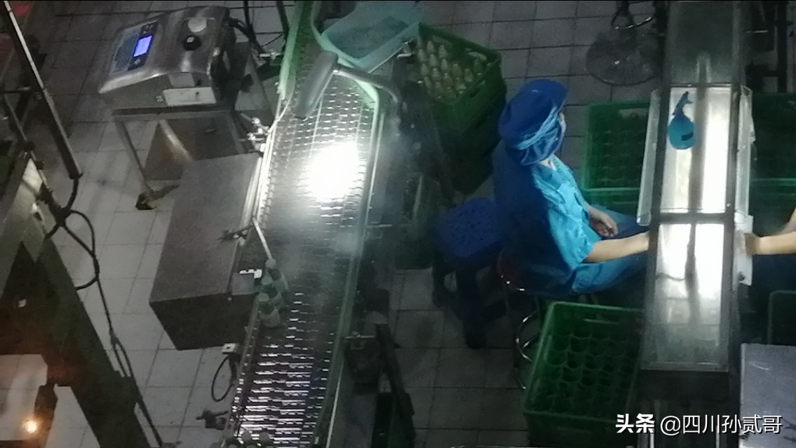 雪宝奶牛场,参观雪兰牛奶工厂心得体会