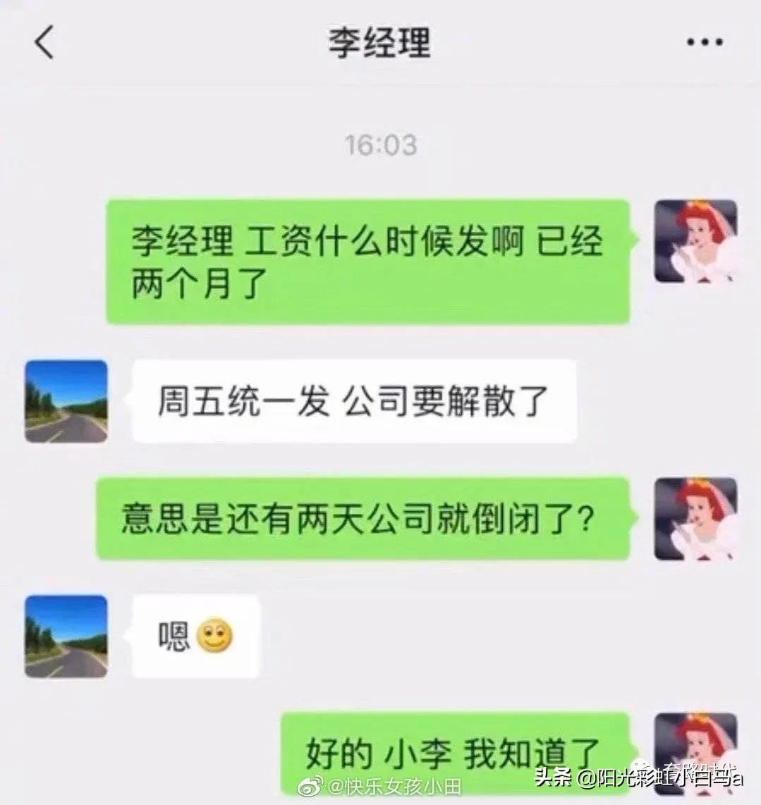 楼下的猫又开始叫了,楼下的猫一直在嗷嗷叫