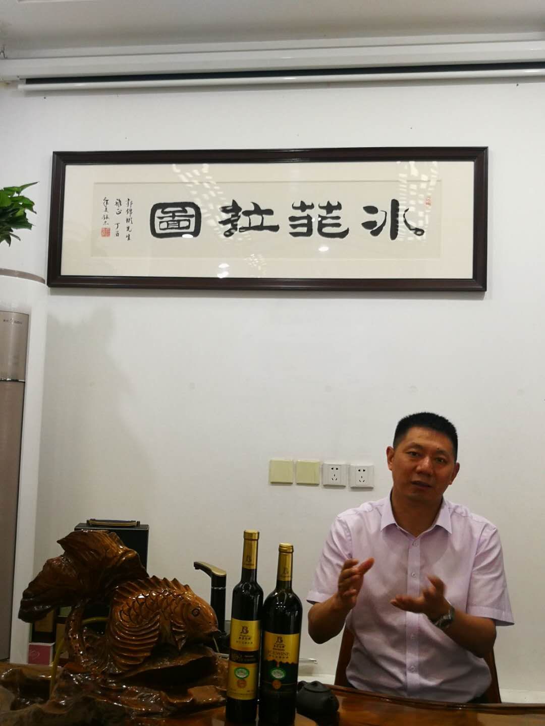 冰菲拉图价格,冰菲拉图经典广告视频