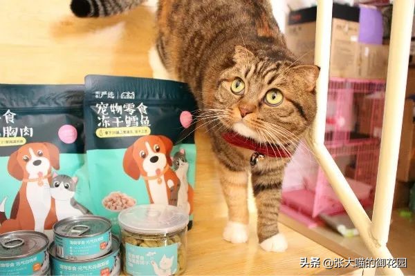 网易严选猫罐头试吃,猫咪零食罐头网易严选