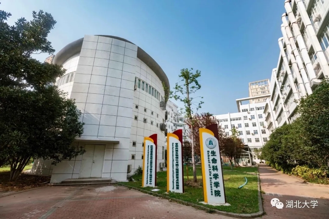 迎新季丨湖大23个学院长啥样?梦想从这里启航
