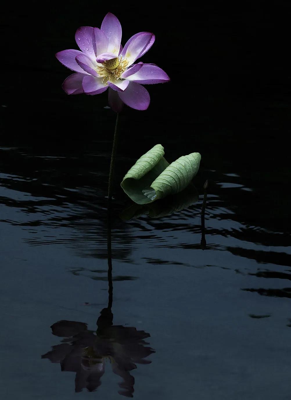 梅雨时节的铁山寺,这里藏着最美的风景