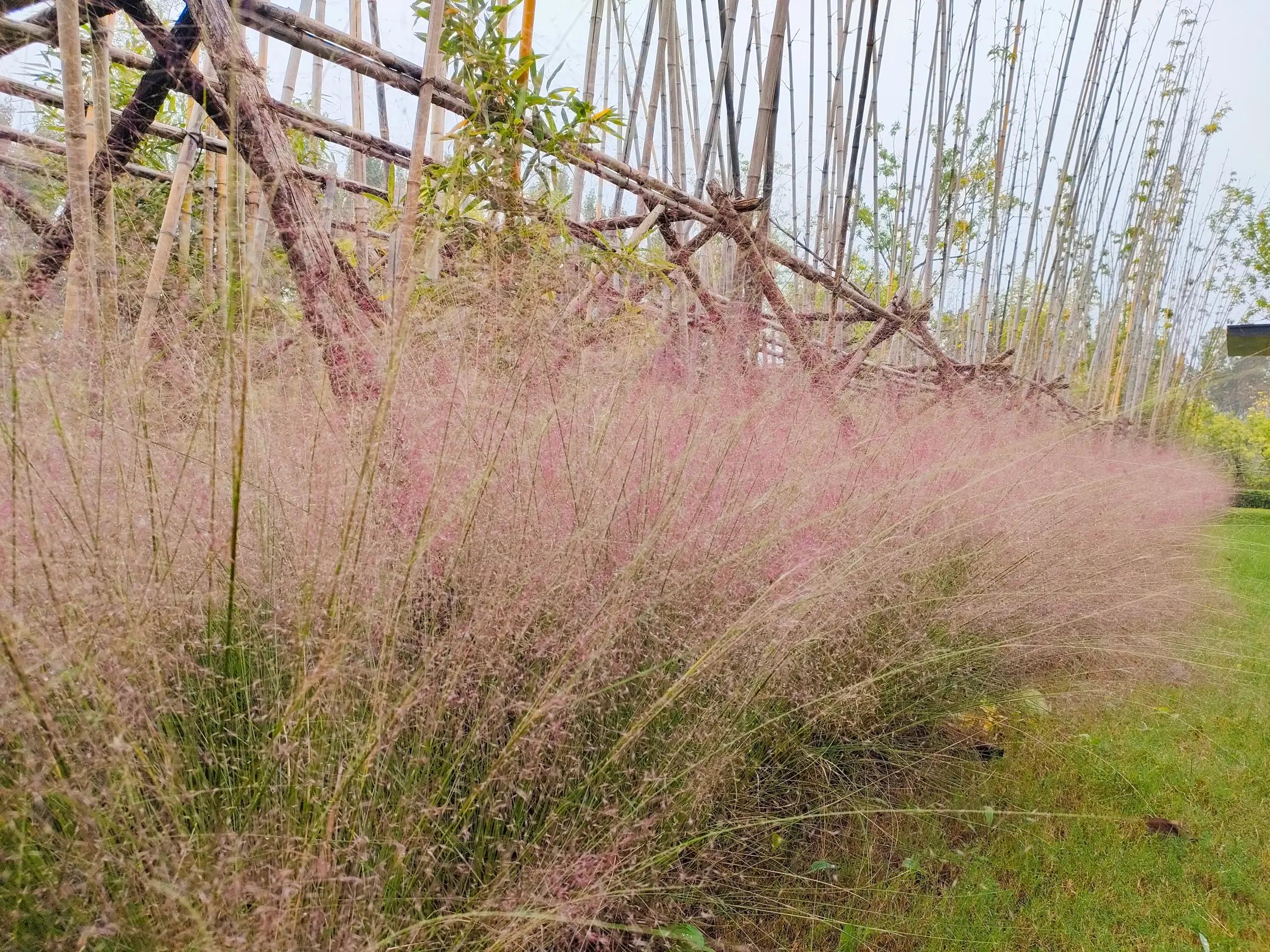 秋日就是收获的季节,秋日是个浪漫的季节