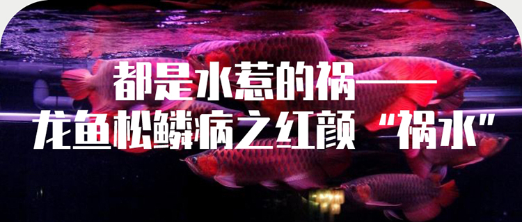 都是干旱惹来的祸,都是水惹的祸