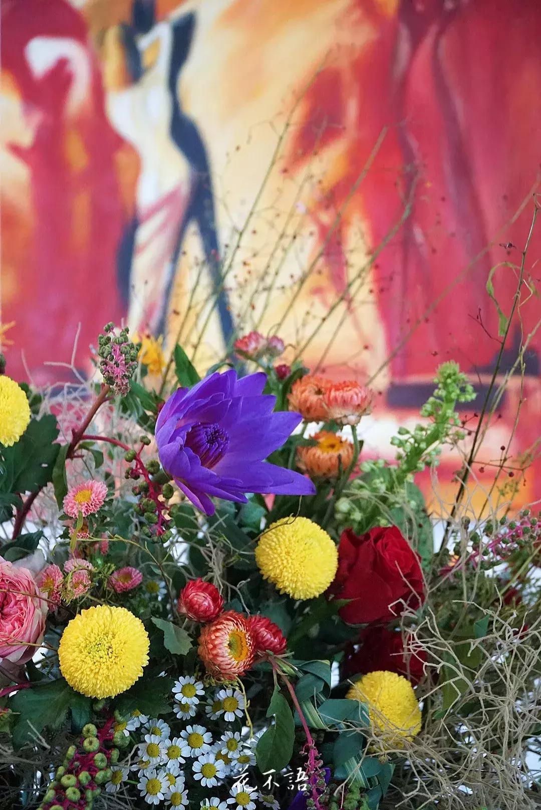 睡莲9月的养护,睡莲的养护方法文字